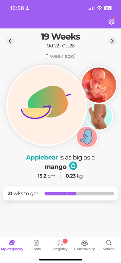 A pregnancy app with a fruit representing how large the baby is