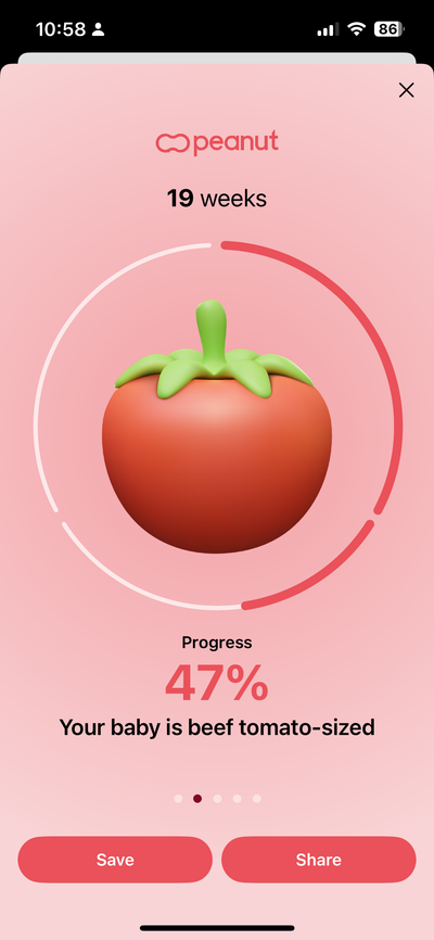 A pregnancy app with a fruit representing how large the baby is