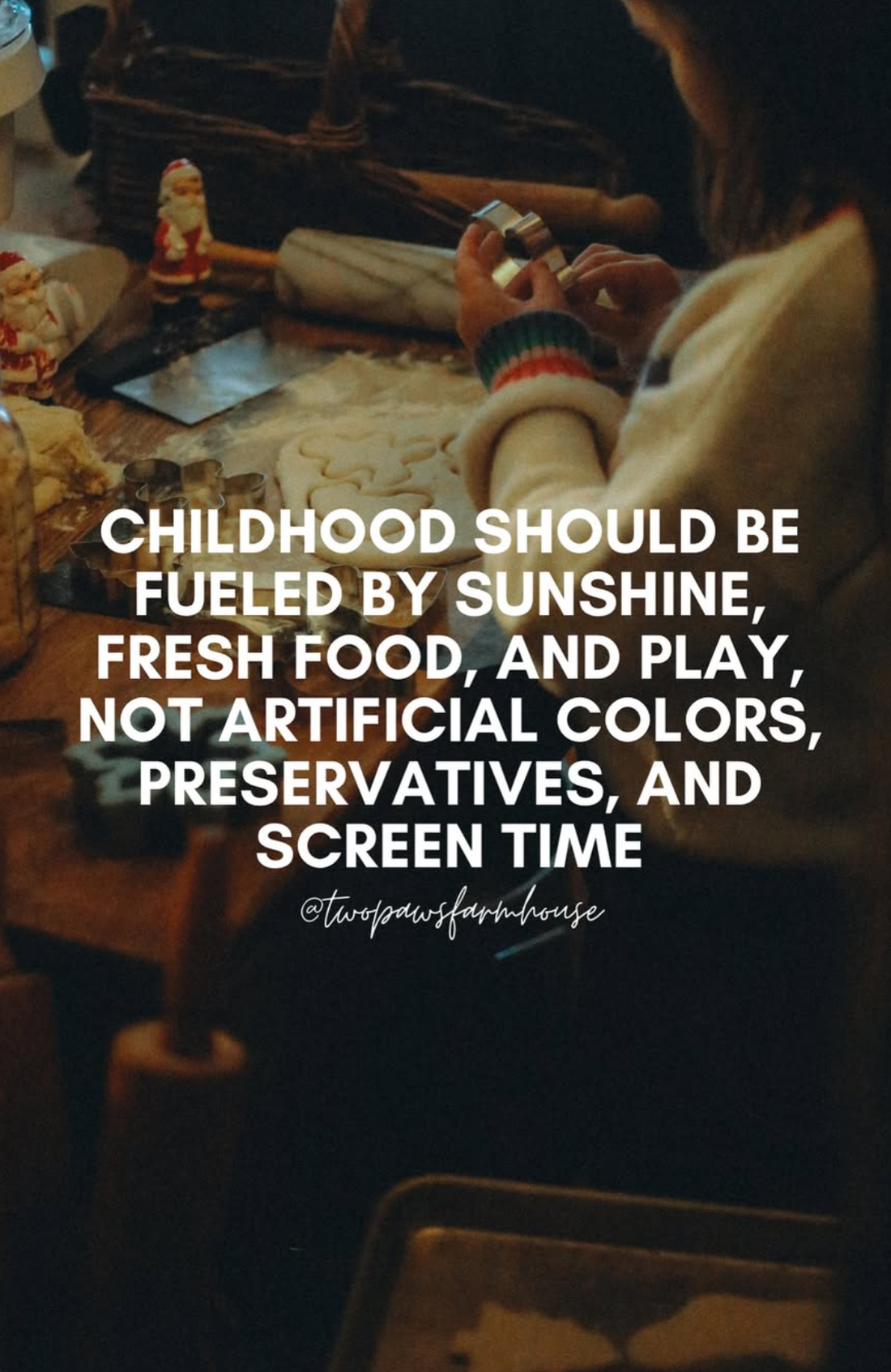 A child playing and the words 'children should be fueled by sunshine, fresh food, and play, not artificial colours, preservatives, and screen time